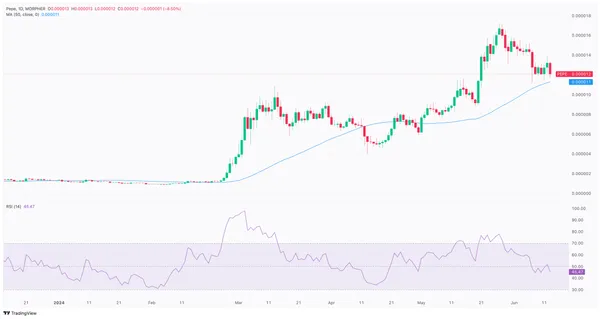 PEPE USDT Chart 2024