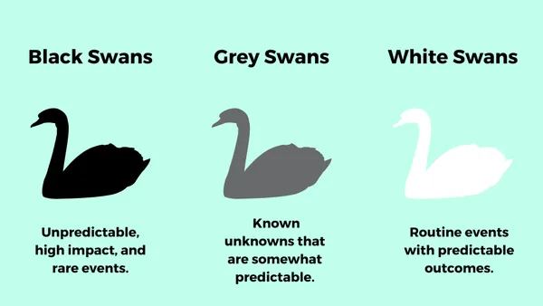 Black, Grey and White Swans Infographic