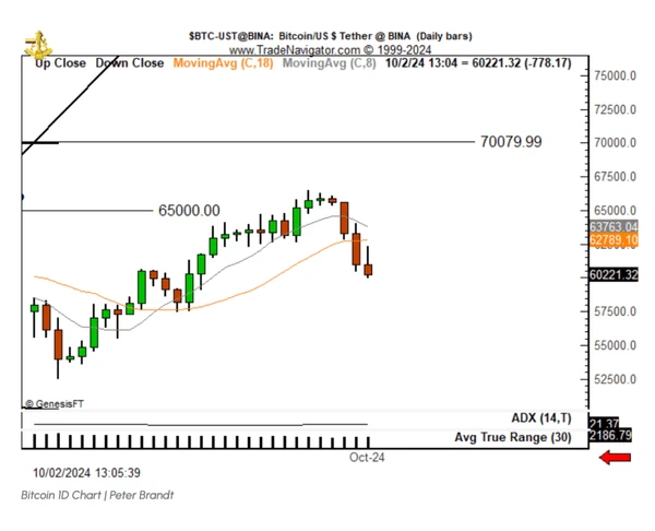 Bitcoin 1D Chart by Peter Brandt