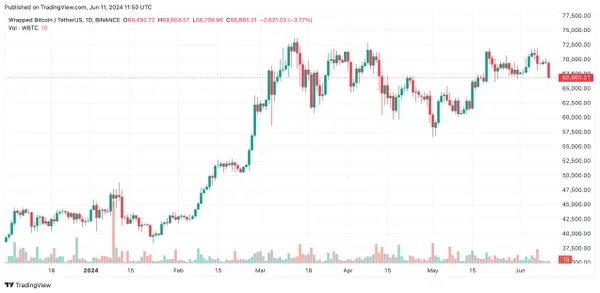 WBTC Price Chart Annual