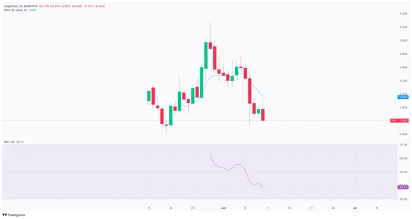 WIF USDT price chart on Morpher.com