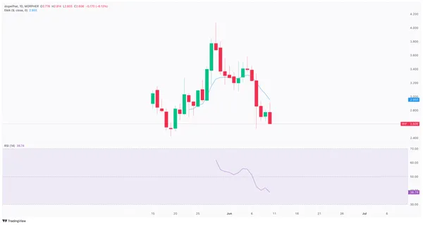 WIF USDT price chart on Morpher.com