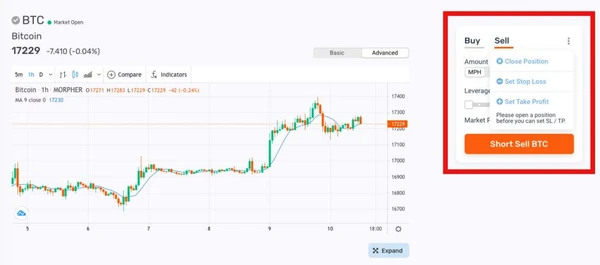 Setting a Stop Loss Order on Morpher