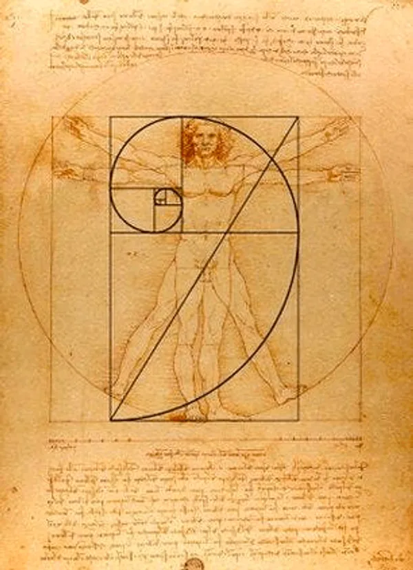 Leonardo da Vinci Fibonacci-Sequenz