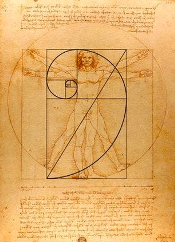 Leonardo da Vinci Fibonacci-Sequenz