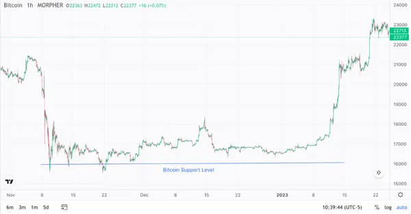 Niveau de Support du Bitcoin sur Morpher