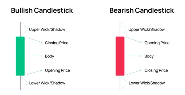 The Anatomy of a Candlestick