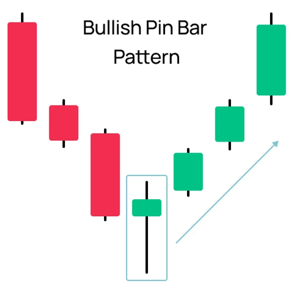 Motif de Barre Pin Haussière