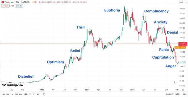 Ciclos de Mercado de Tesla