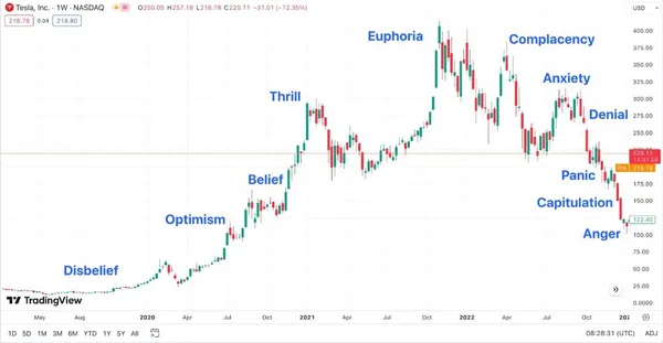 Tesla Market Cycles