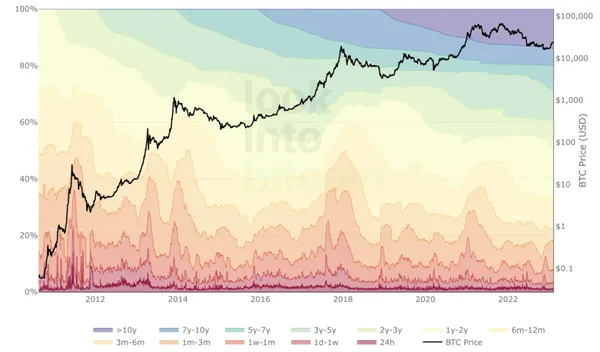 Диаграмма волн HODL для Биткоина