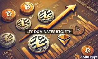 News Article Image Litecoin beats Bitcoin, Ethereum in usage, so why is LTC still bearish?