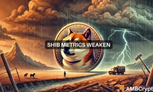 News Article Image Shiba Inu update: Key indicators forecast up to 45% price drop – What now?