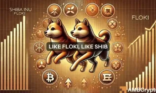 News Article Image What FLOKI’s correlation with Shiba Inu means for its price