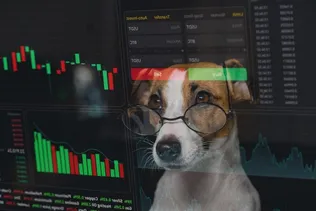News Article Image Why Are Petco Shares Surging Friday? - Petco Health and Wellness  ( NASDAQ:WOOF ) 