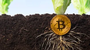 News Article Image KPMG Bitcoin Report Marks 'A Milestone The Bitcoin Ecosystem Should Celebrate': Analyst