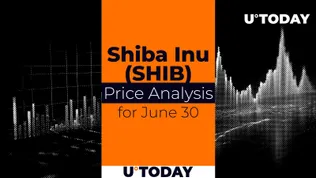 News Article Image SHIB Price Prediction for June 30