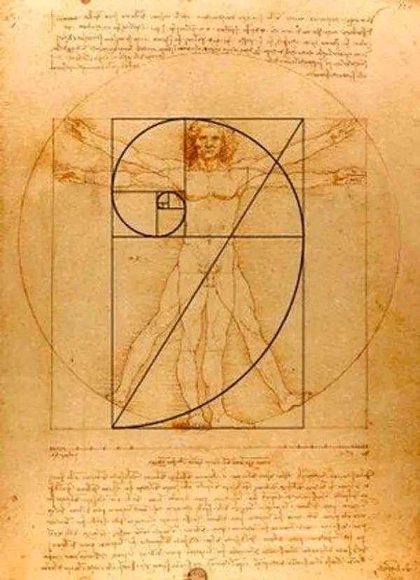 Leonardo DaVinci Secuencia de Fibonacci