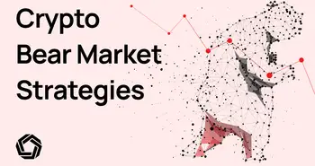 crypto-bear-market-strategies featured image