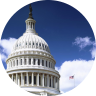 US government capitol building avatar